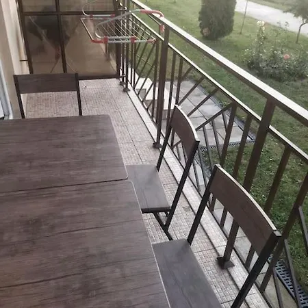 Lovely Bright On Sunny