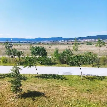 Lovely Bright On Sunny Apartment