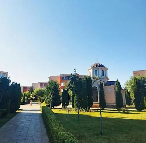 Lovely Bright On Sunny